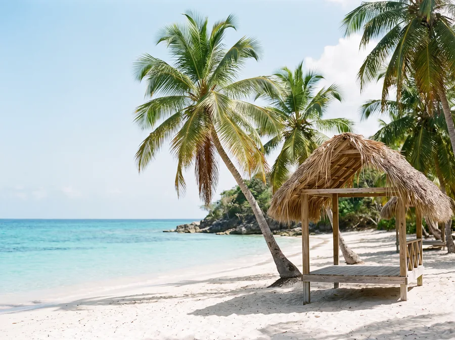 Tropical beach cove with turquoise water and palm trees, typical of Great Stirrup Cay
